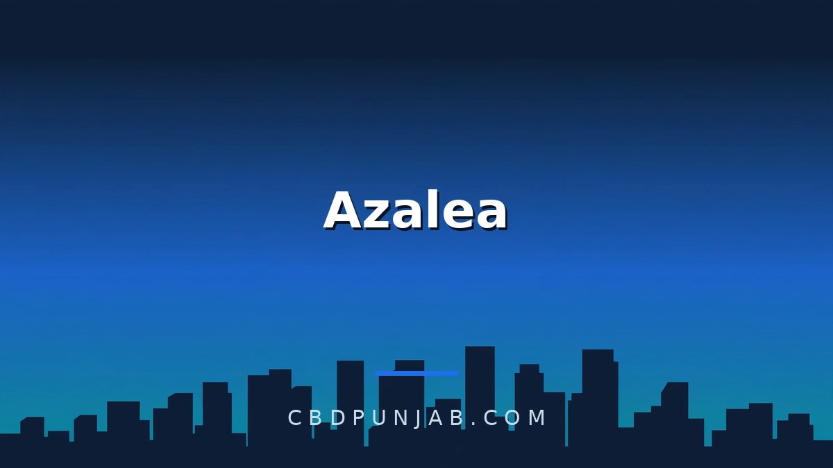Azalea